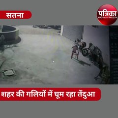 video : रात में शहर की गलियों में घूम रहा तेंदुआ