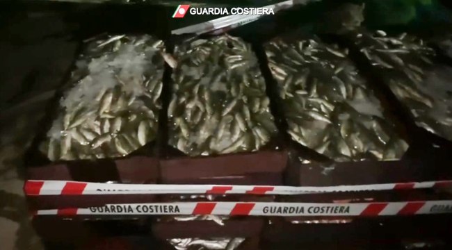Pesca illegale, Guardia Costiera intercetta peschereccio egiziano in acque italiane (09.03.23)