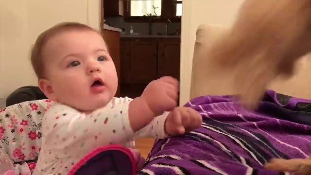 Cute Babies Playing With Dogs Compilation - Funny Baby And Pets 2023