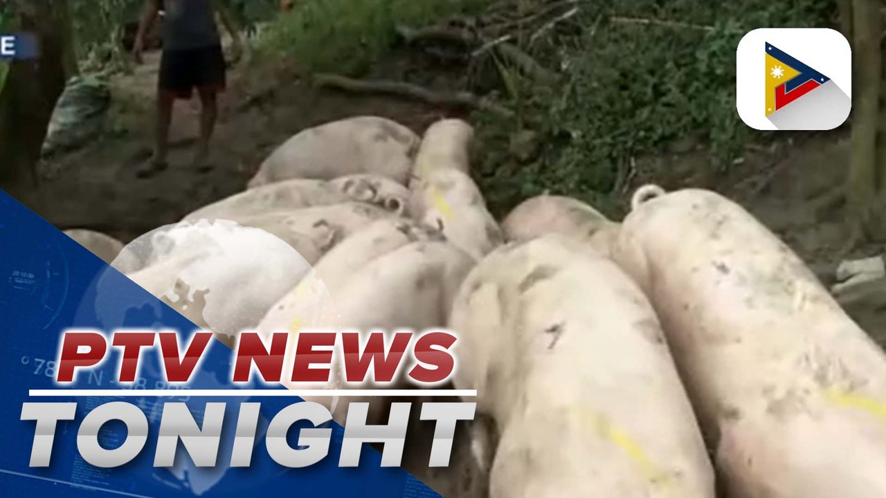 DA assures pork supply in PH remains sufficient despite ASF threat in Carcar, Cebu