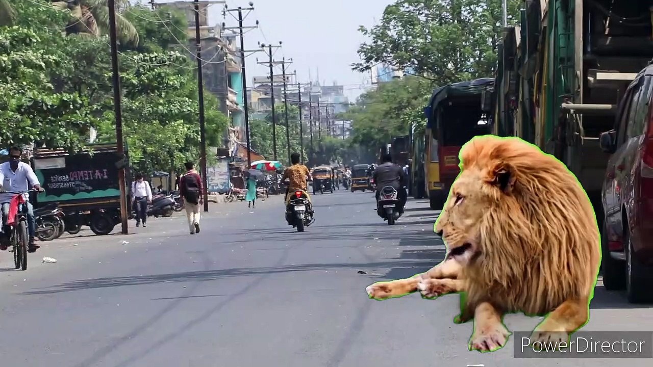 Lion cartoon