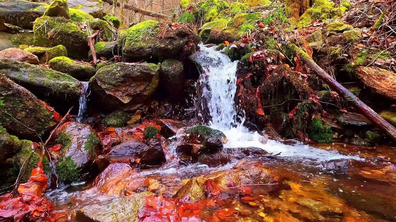 "Bien-être" Eau Ruisseau 4K - Relaxation - Détente