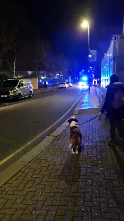 Pup howls along to passing fire engine