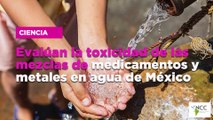 Evalúan la toxicidad de las mezclas de medicamentos y metales en agua de México
