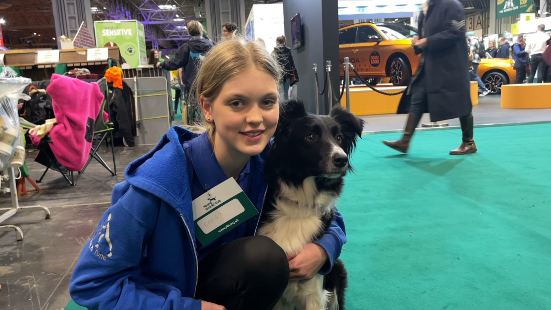 Working, Pastoral Gundog group winners announced at Crufts 2024