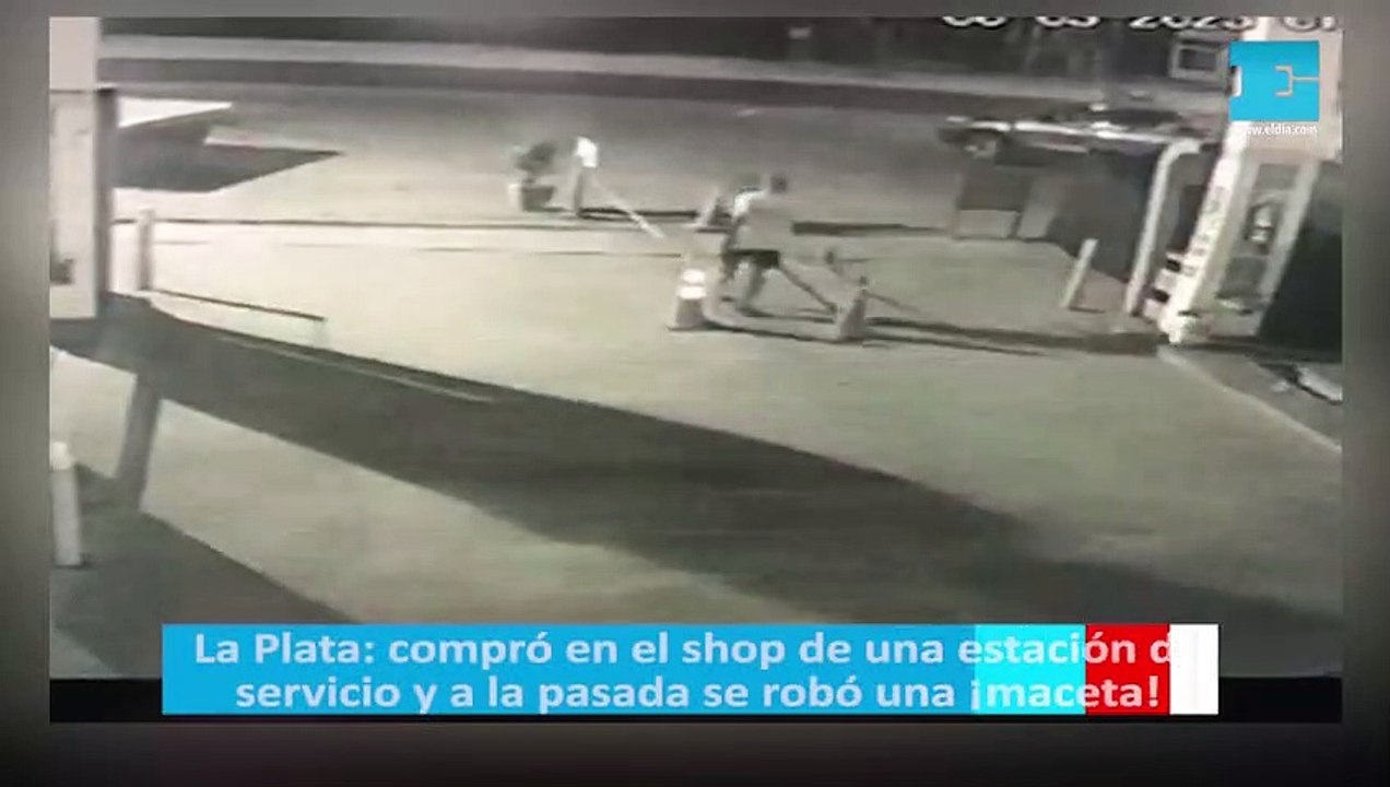 La Plata: compró en el shop de una estación de servicio y a la pasada se robó una ¡maceta!