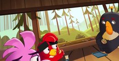 Angry Birds: Summer Madness S02 E011