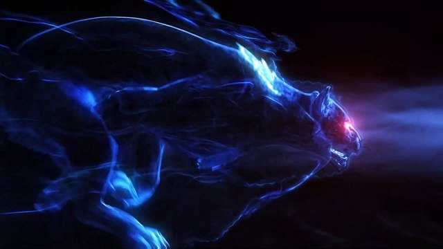 Elite Body Squad Weight Lifting Gloves (Review)