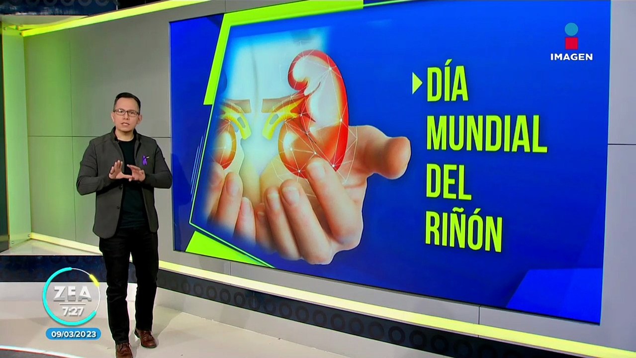 ¿Cómo cuidar los riñones y cómo detectar si algo anda mal?