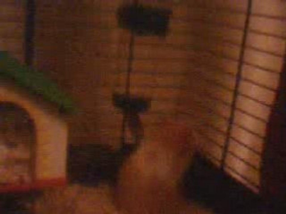 Miley une Hamster..