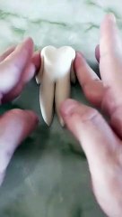 Amazing Creation - Wonderful Art