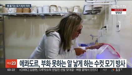 갈라파고스에 '불임 유발 모기' 10만 마리 푼다