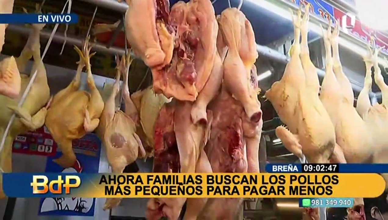 ¡Ahora se come menos pollo! Comerciantes preocupados ante el alza de precios de esta ave