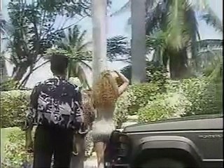 Ver Capítulo 54 Completo La Caponera - Novelas,