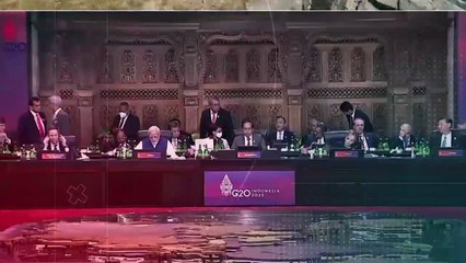 Gurita Bisa Bertahan Hidup Di Darat | NEWS OR HOAX