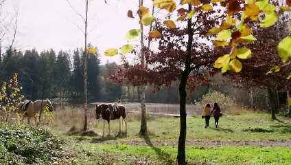 Sturm der Liebe 3993 folge