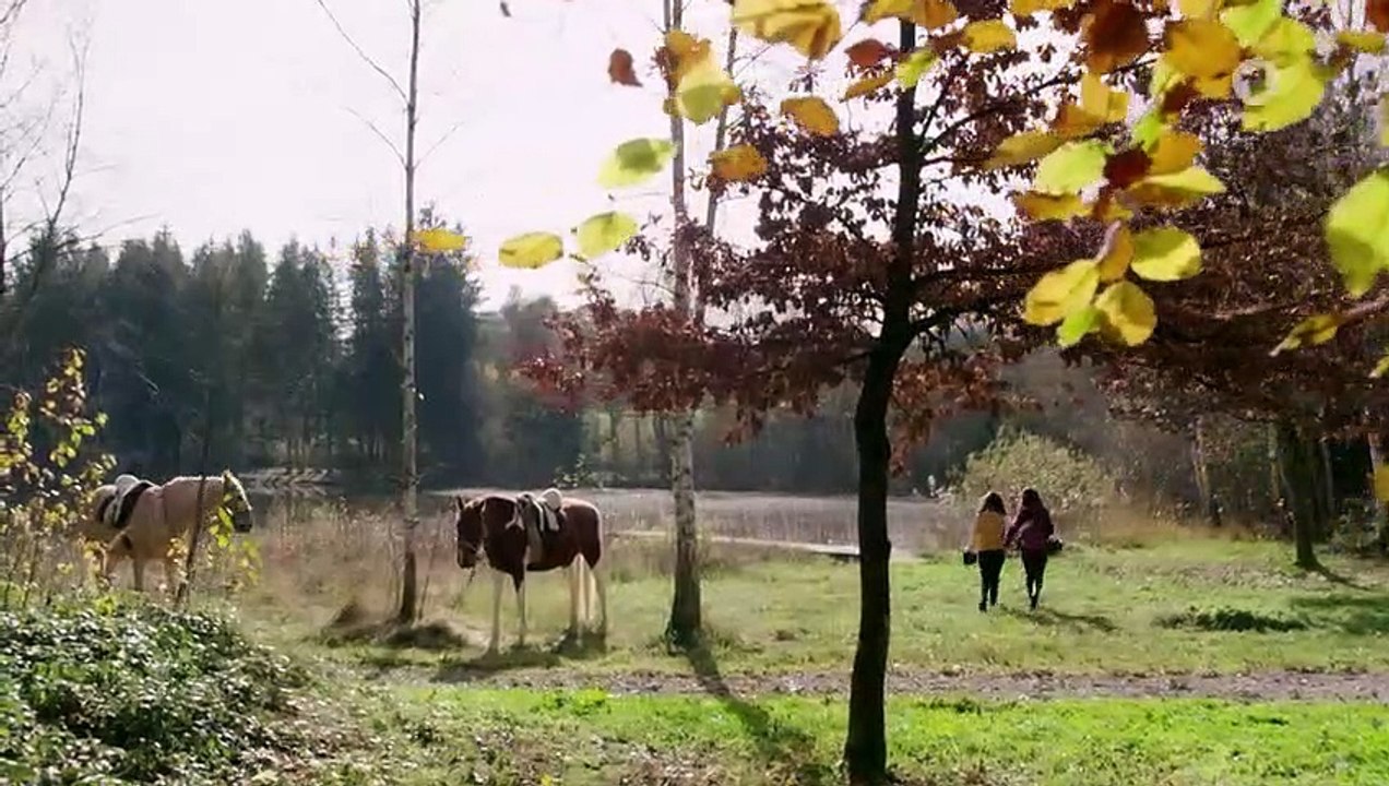 Sturm der Liebe Folge 3993 Ins Leere laufen