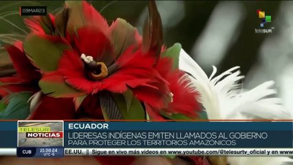 Video herunterladen: Ecuador: Lideresas indígenas reclaman al gobierno protección para territorios amazónicos