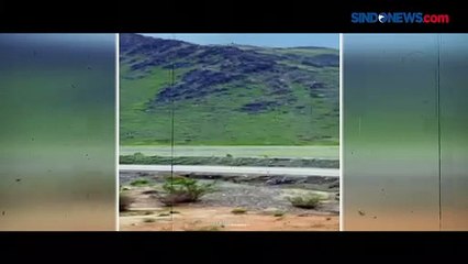 Heboh Kemunculan Danau dan Sungai Dadakan Usai Pegunungan Hijau di Arab Saudi