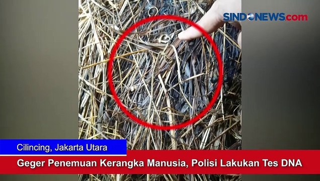 Geger Penemuan Kerangka Manusia di Cilincing, Polisi Lakukan Tes DNA