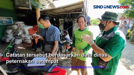 Kasus PMK di Jawa Timur Meningkat Tajam