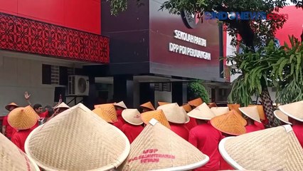 Surya Paloh Berencana Bertemu Megawati, Ini Kata Sekjen PDIP