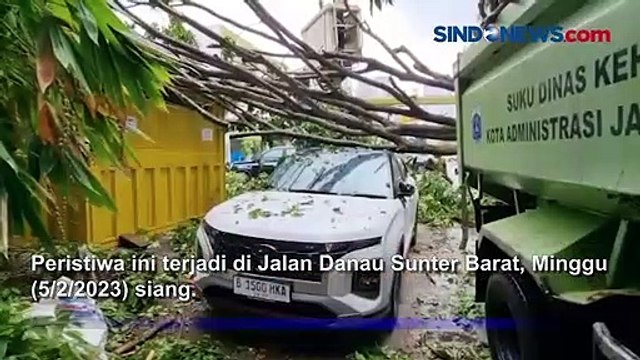 Akibat Hujan Disertai Angin Kencang, Pohon Tumbang dan Timpa Mobil di Sunter Agung