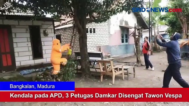 Serang Warga di Pegunungan Simpali, Harimau Sumatera Ditangkap BKSDA