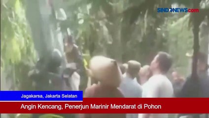 Angin Kencang saat Latihan Terjun Payung, Anggota Marinir Mendarat di Pohon