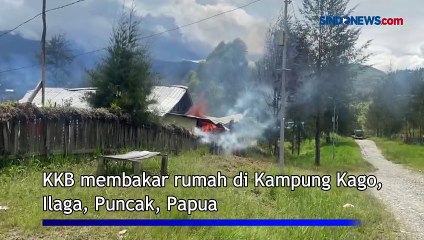 KKB Kembali Berulah, Bakar Rumah dan Terlibat Kontak Tembak di Ilaga