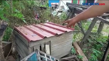 Curi Ayam Kate, Remaja Diikat dan Dihajar Warga Kota Kendari