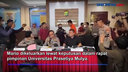 Mario Dandy Anak Pejabat Ditjen Pajak di Droup Out dari Kampus  Prasetiya Mulya
