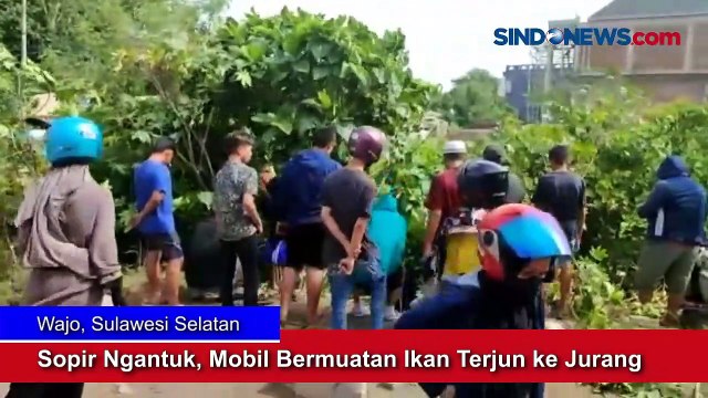 Sopir Ngantuk, Mobil Bermuatan Ikan Terjun ke Jurang di Wajo