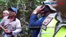Makan Korban, Warga dan BKSDA Pasang Perangkap Beruang di Muarojambi