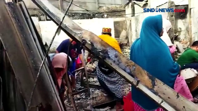 Relawan Selamatkan Kucing di Reruntuhan Kebakaran Depo Pertamina Plumpang