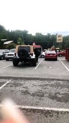 Bear Breaks into Car for a Snack in Hotel Parking Lot