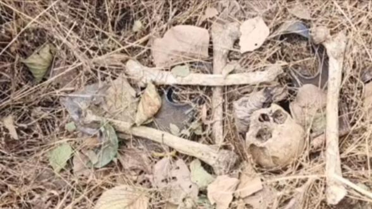 OMG: नर कंकाल मिलने से क्षेत्र में हड़कंप, पुलिस करेगी बड़ा खुलासा