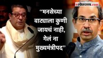 Raj Thackeray on Uddhav Thackeray: राज ठाकरेंचा उद्धव ठाकरेंना नाव न घेता टोला!