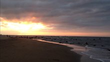 A Horseback Rider at the Beach
