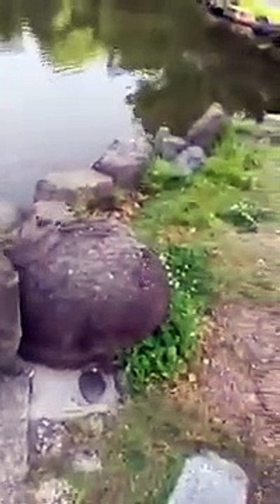 superb clip for watching