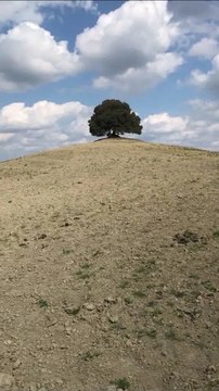 Travel Gems NATURA Albero dei desideri Pieve a Salti
