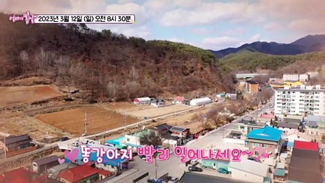 엄마가 있어 다행이야!_엄마의 봄날 391회 예고 TV CHOSUN 230312 방송