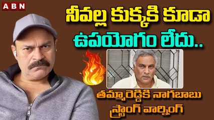 తమ్మారెడ్డికి నాగబాబు స్ట్రాంగ్ వార్నింగ్ | Naga Babu Strong Warning to Tammareddy Bharadwaj | ABN