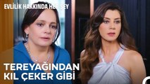 Biraz da Alpay Beyi gerelim - Evlilik Hakkında Her Şey