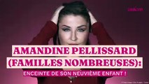 Amandine Pellissard (Familles nombreuses) enceinte de son neuvième enfant !