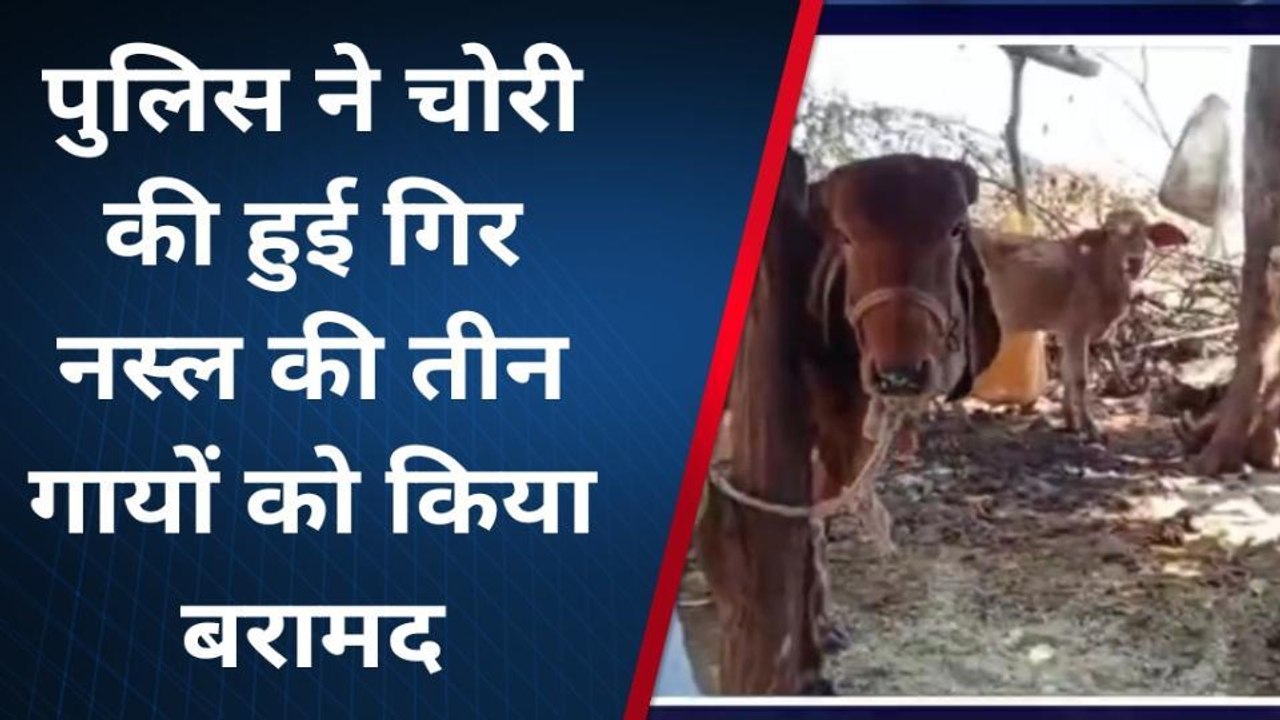 पिछोर: सीआरपीएफ के जवान के घर मिली चोरी की गाय,पुलिस जाँच में जुटी