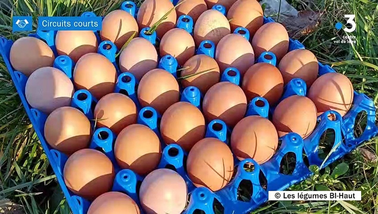 Circuits Courts - Les légumes Bi Haut