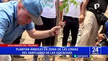 VMT: Inician plan ‘Lima Verde’ sembrando 1 millón de árboles en Loma de las Vizcachas