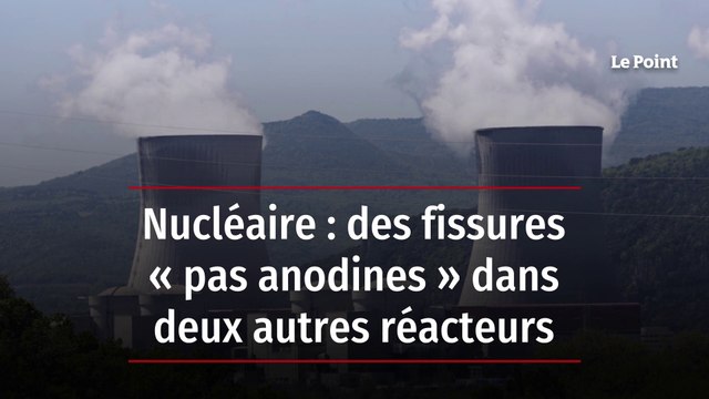 Nucléaire : des fissures « pas anodines » dans deux autres réacteurs