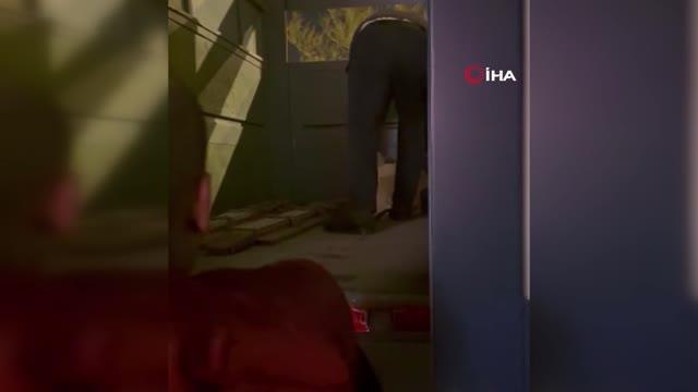 Enkaz altından çıkarılan 'Enkaz' isimli köpek Trabzon'da yeni yuvasına kavuştu